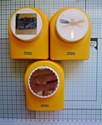 Medium punches scalloped - medium,