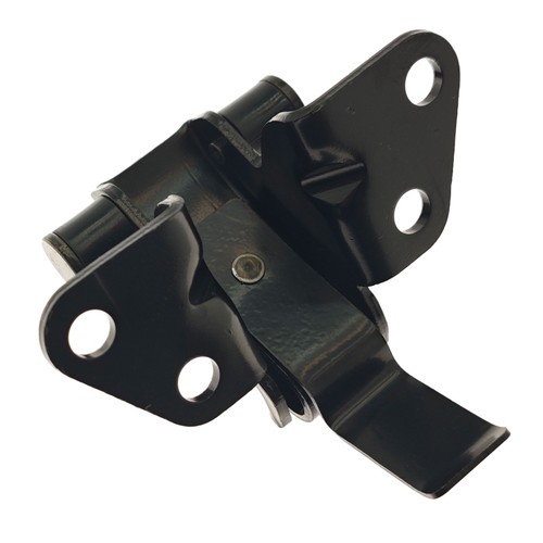 Rear door catch check strap