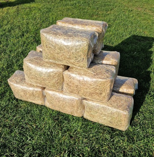 Hight quality 1kg - quality,