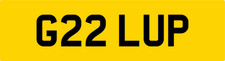 IDEAL FOR OLDER HORSEBOX NUMBER PLATE G22 LUP GALLOP NAG HORSE TRAILER LORRY COB