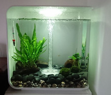 Biorb Flow 30L MCR Fish Tank