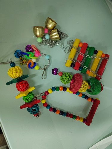 6pcs set parrot birds toy - 6pcs, kit