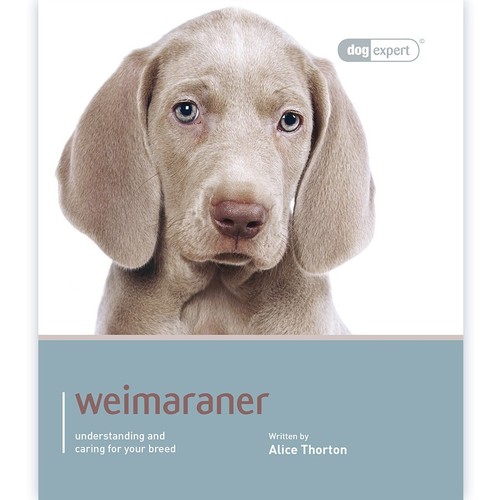 Weimaraner dog expert - -,