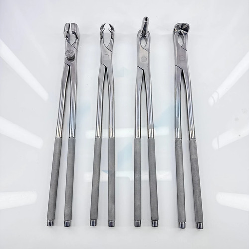 Equine molar extracting - equine,