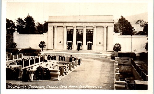 1930s steinhart aquarium - 1930s,