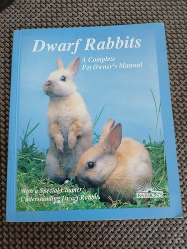 Barron dwarf rabbits a - dwarf,