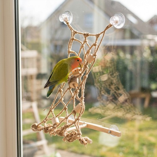 Wooden parrot play - parrot,