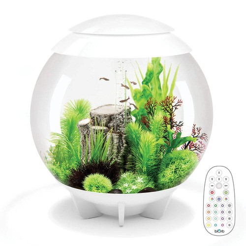 Biorb halo aquarium - biorb, 60