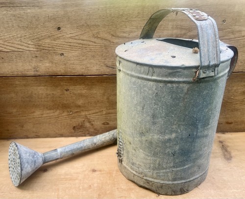 Vintage galvanised watering - galvanised,