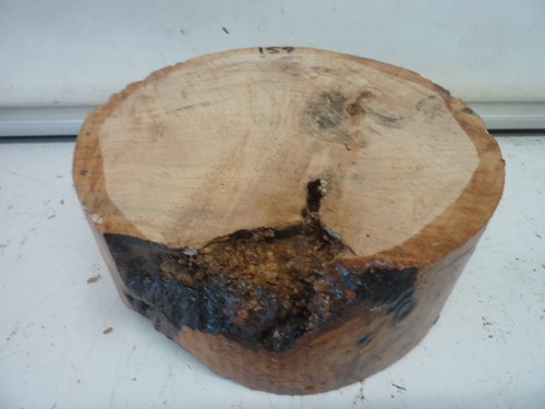 Ripple resin fill - field, maple