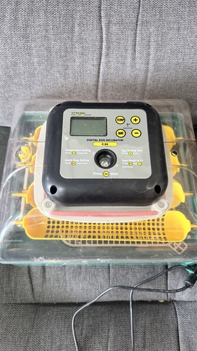 Zoomfarm zoom farm - farm, egg