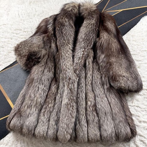 Saga fox silver coat - saga,