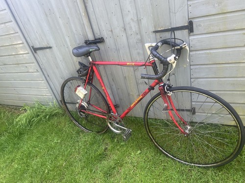 Raleigh ace - raleigh,