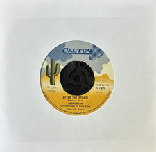 ANDROMEDA 'AFTER THE STORM' 7'' SINGLE CACTUS RECORDS CT2A 1972 PSYCH FOLK ROCK