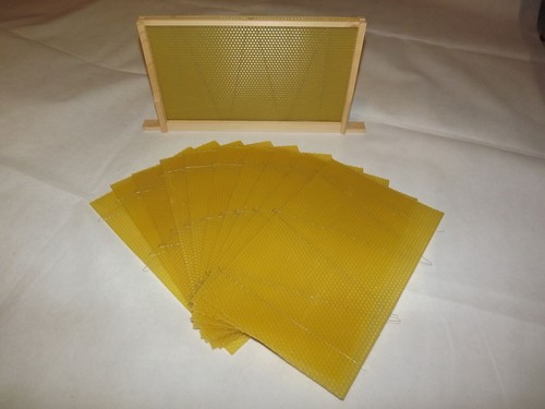 Wired brood foundation - foundation, 10