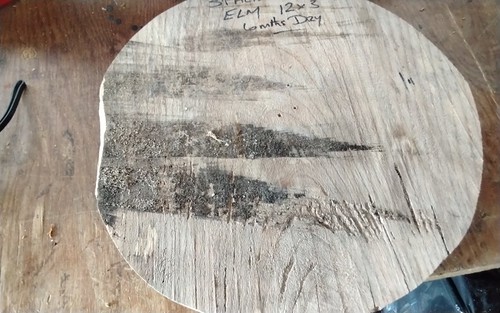 Spalted elm bowl blank wood - blank,