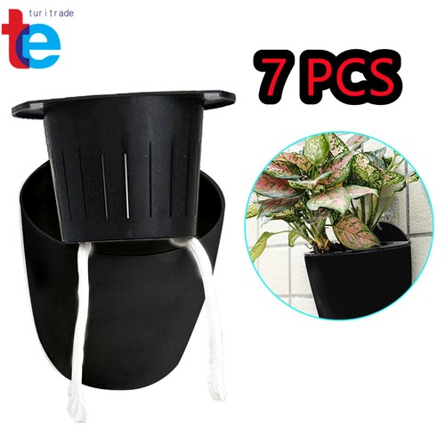 Self watering plants flowers - self-watering,
