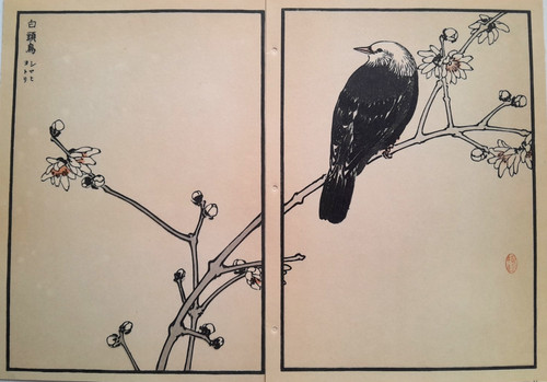 Bairei starling japanese print - bairei,
