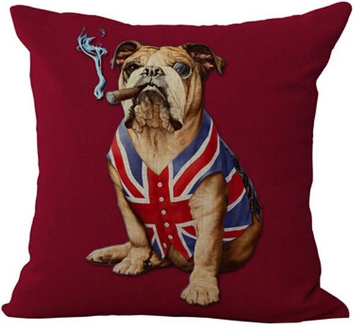 18x18 inches english - english, bulldog
