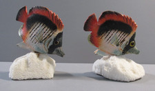 Pair of Small Tropical Fish on Coral Base Figures