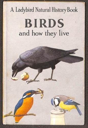 Birds and how - , they
