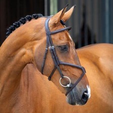 Shires Lusso Grackle Bridle - Havana