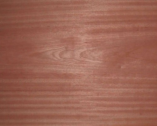 Real wood veneer sheets - veneer, large