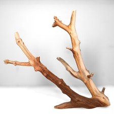16.5" Manzanita Driftwood