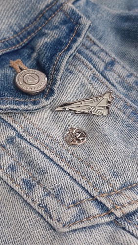 F14 tomcat lapel pin - f14,