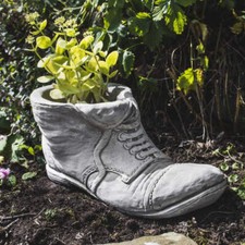 Old Boot/ Shoe Garden Plant