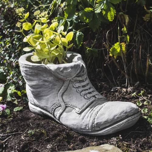 Old boot shoe garden plant - shoe,