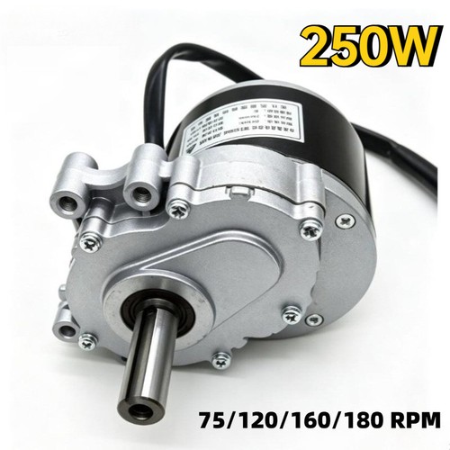 250w brushed low speed - brushed, low-speed