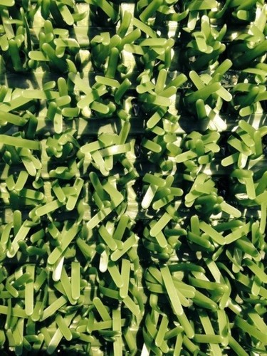 The original astroturf - the,