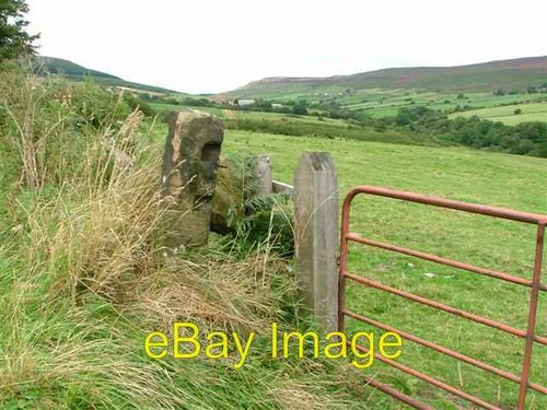 Photo 6x4 gate post raisdale - photo, post,