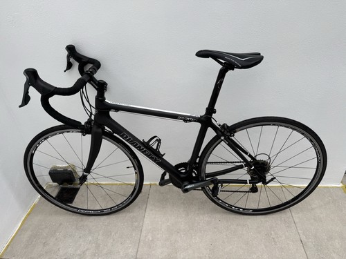 Planet pro carbon road bike - road,