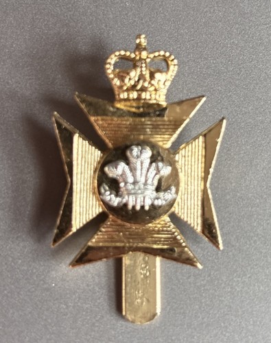 Royal wiltshire territorials - royal,