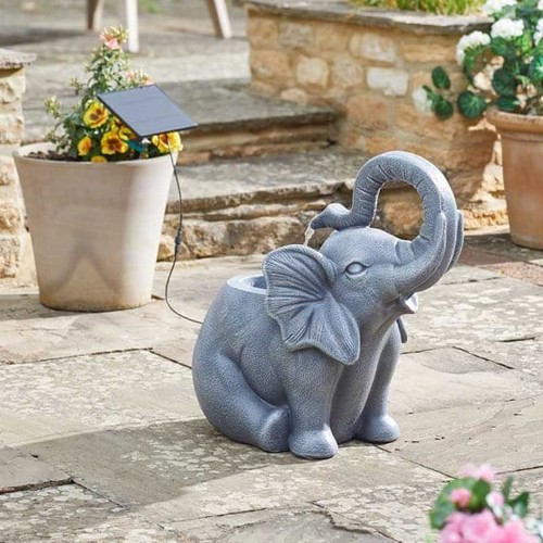 Jumbo showers elephant - jumbo,