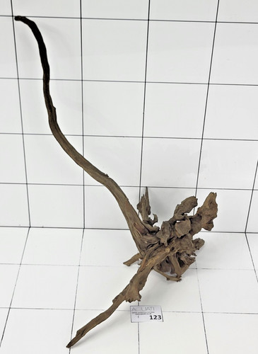 Premium aquarium natural dark - aquarium,
