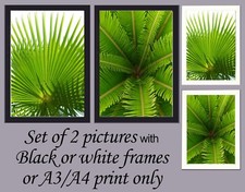 Botanical Print Palm Tree Leaves Wall Art Set of 2 Framed Picture Poster A3 A4