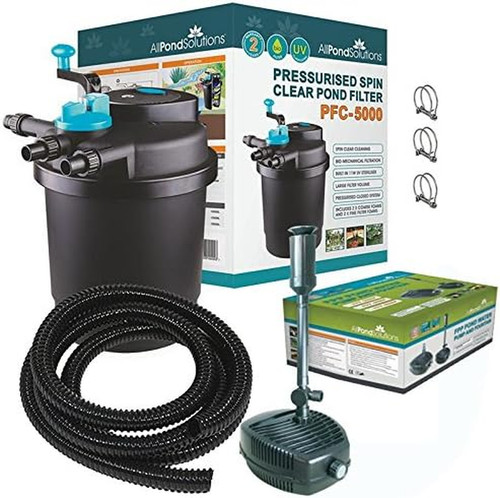 Pressurised koi fish pond - fish,