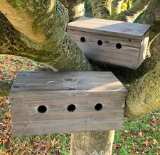 Sparrow Bird House Nest Box