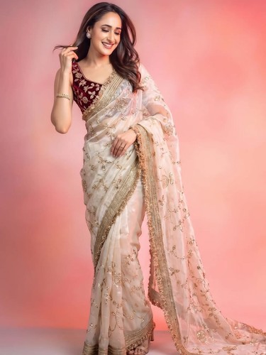 Pakistani sari party wear - sari,