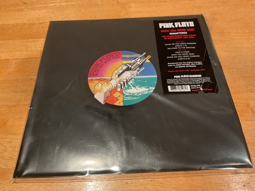 Pink floyd vinyl - vinyl, album