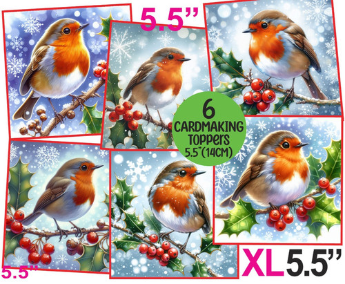 Christmas robin holly card - robin,