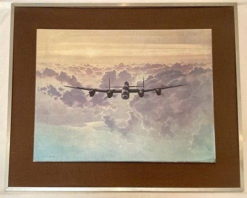Stunning large framed - stunning,