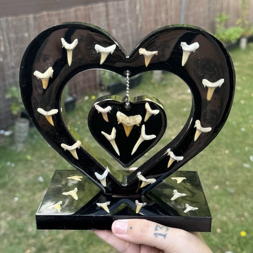 Heart full real shark - full,