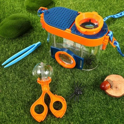 Insect observation box science - box,