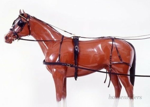 Horse driving harness - driving,