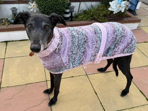 Hand knitted greyhound coat - knitted,