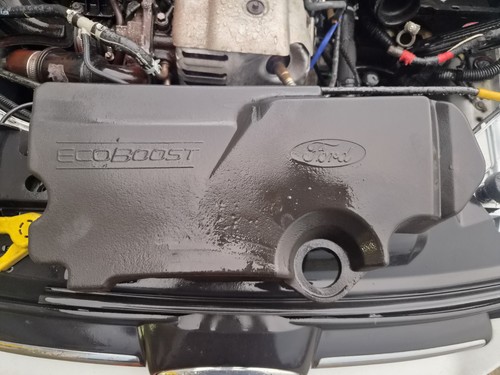 Ford focus foam engine cover - engine,